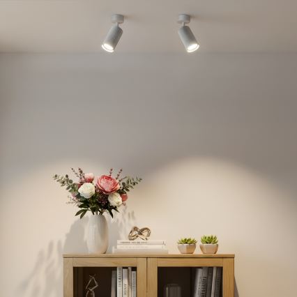 Brilagi - Kohdevalaisin SELE MODERN 1xGU10/30W/230V valkoinen