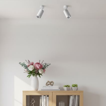 Brilagi - Kohdevalaisin SELE MODERN 1xGU10/30W/230V valkoinen