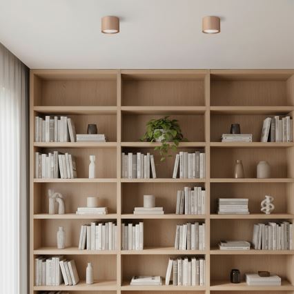 Brilagi - Kohdevalaisin STRIPY 1xGX53/15W/230V beige