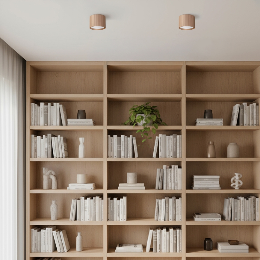 Brilagi - Kohdevalaisin STRIPY 1xGX53/15W/230V beige