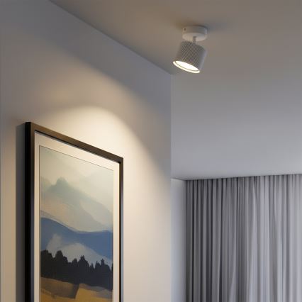 Brilagi - Kohdevalaisin STRIPY 1xGX53/15W/230V valkoinen