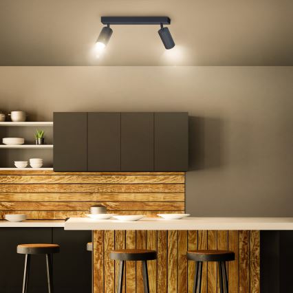 Brilagi - Kohdevalo SELE 2xGU10/30W/230V antrasiitti