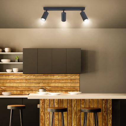 Brilagi - Kohdevalo SELE 3xGU10/30W/230V antrasiitti