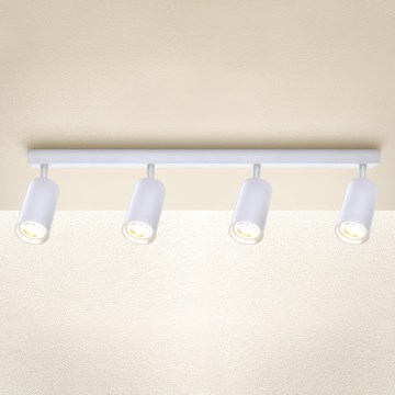 Brilagi - Kohdevalo SELE 4xGU10/30W/230V valkoinen