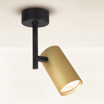 Brilagi - Kohdevalo SELE VERTICAL 1xGU10/30W/230V musta/kulta