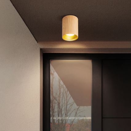 Brilagi - Kohdevalo TRINE 1xGU10/30W/230V tammi sisustus