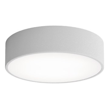 Brilagi - Kylpyhuoneen kattovalaisin CLARE 2xE27/24W/230V halkaisija 30 cm IP54 harmaa