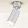 Brilagi - Kylpyhuoneen kohdevalo SELE 1xGU10/30W/230V IP44 hopea