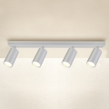 Brilagi - Kylpyhuoneen kohdevalo SELE 4xGU10/30W/230V IP44 hopea