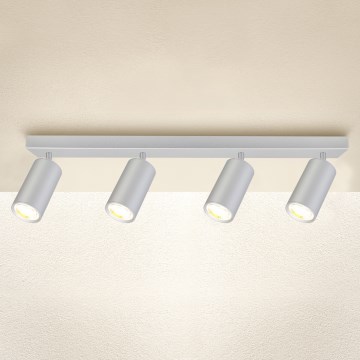 Brilagi - Kylpyhuoneen kohdevalo SELE 4xGU10/30W/230V IP44 hopea