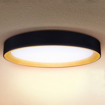 Brilagi - LARIOS LED himmennettävä kattovalaisin LED/72W/230V 3000-6500K, musta, halkaisija 59 cm + kaukosäädin