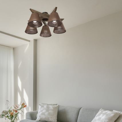 Brilagi - LED Katto- tai seinävalaisin ANTHONY 5xE14/40W/230V tammi-pähkinä/ruskea
