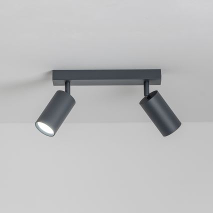 Brilagi - himmennettävä LED-kohdevalaisin SELE 2xGU10/6,5W/230V 2700-6500K antrasiitti