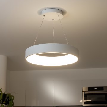 Brilagi - LED Himmennettävä kattokruunu johdossa FALCON LED/80W/230V 3000-6500K + kaukosäädin