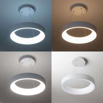 Brilagi - LED Himmennettävä kattokruunu johdossa FALCON LED/40W/230V 3000-6500K valkoinen + kauko-ohjain