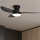 Brilagi - LED himmennettävä kattotuuletin LED/30W/230V 3000-6500K musta + kaukosäädin