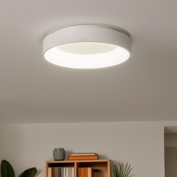 Brilagi - LED-himmennettävä kattovalaisin FALCON LED/80W/230V 3000-6500K + kaukosäädin