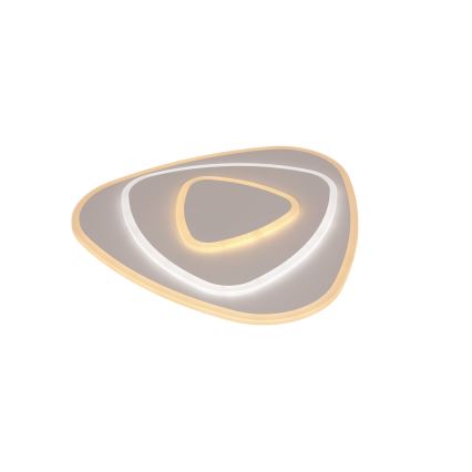 Brilagi - LED-himmennettävä kattovalaisin MODERNI LED/58 W/230 V 3000–6000 K 47 x 48,5 cm + kaukosäädin