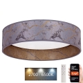 Brilagi - LED Himmennettävä kattovalaisin VELVET SMART LED/24W/230V d. 45 cm 2700-6500K Wi-Fi Tuya harmaa/kulta + kaukosäädin