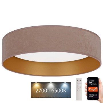 Brilagi - LED Himmennettävä kattovalaisin VELVET SMART LED/36W/230V d. 55 cm 2700-6500K Wi-Fi Tuya beige/kulta + kaukosäädin
