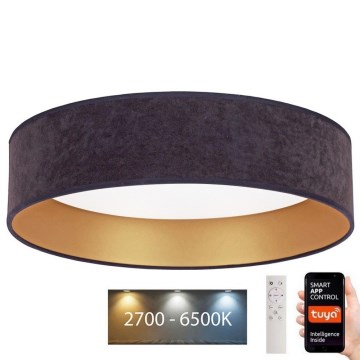 Brilagi - LED Himmennettävä kattovalaisin VELVET SMART LED/36W/230V d. 55 cm 2700-6500K Wi-Fi Tuya harmaa/kulta + kaukosäädin