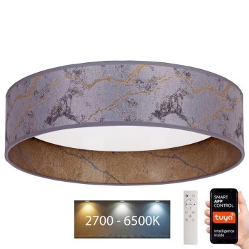 Brilagi - LED Himmennettävä kattovalaisin VELVET SMART LED/36W/230V d. 55 cm 2700-6500K Wi-Fi Tuya harmaa/kulta + kaukosäädin