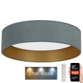 Brilagi - LED Himmennettävä kattovalaisin VELVET SMART LED/36W/230V d. 55 cm 2700-6500K Wi-Fi Tuya minttu/kulta + kaukosäädin