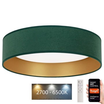 Brilagi - LED Himmennettävä kattovalaisin VELVET SMART LED/36W/230V d. 55 cm 2700-6500K Wi-Fi Tuya vihreä/kulta + kaukosäädin