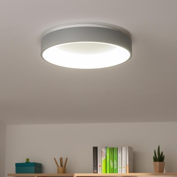 Brilagi - LED Himmennettävä kattovalo FALCON LED/40W/230V 3000-6500K harmaa + kauko-ohjain
