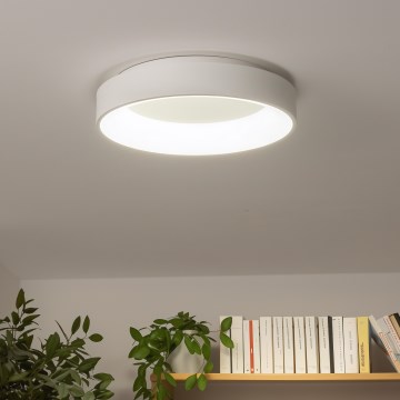 Brilagi - LED Himmennettävä kattovalo FALCON LED/40W/230V 3000-6500K + kaukosäädin