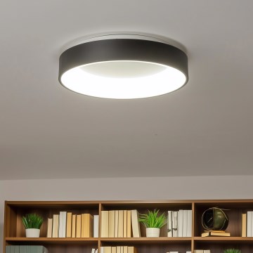 Brilagi - LED Himmennettävä kattovalo FALCON LED/40W/230V 3000-6500K musta + kauko-ohjain