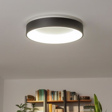 Brilagi - LED Himmennettävä kattovalo FALCON LED/80W/230V 3000-6500K + kaukosäädin