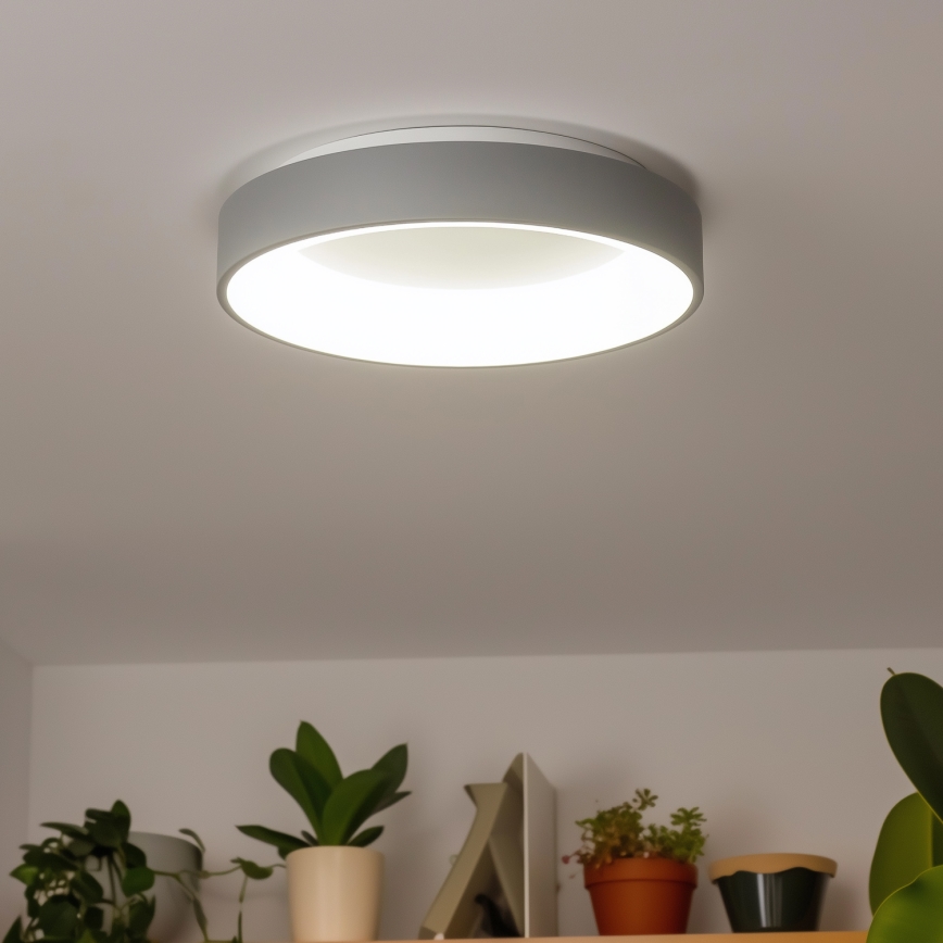 Brilagi - LED Himmennettävä kattovalo FALCON LED/80W/230V 3000-6500K + kaukosäädin