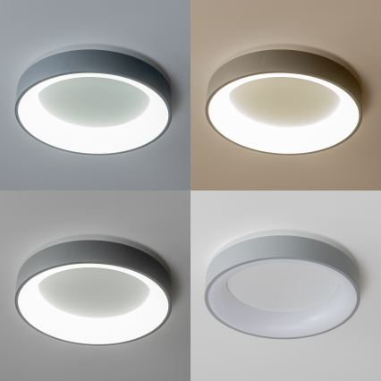 Brilagi - LED Himmennettävä kattovalo FALCON LED/80W/230V 3000-6500K + kaukosäädin