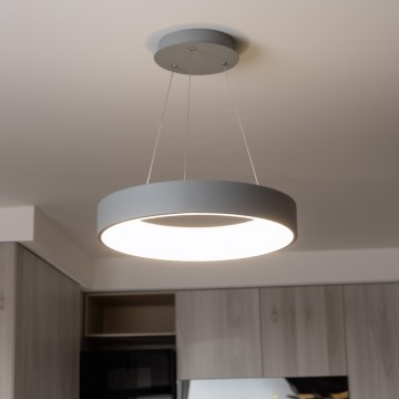 Brilagi - LED Himmennettävä kattovalo johdossa FALCON LED/80W/230V 3000-6500K halk. 60 cm harmaa + kaukosäädin