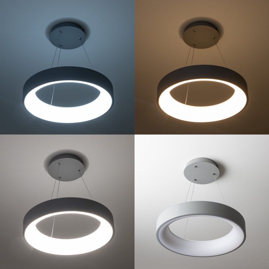 Brilagi - LED Himmennettävä kattovalo johdossa FALCON LED/80W/230V 3000-6500K halk. 60 cm harmaa + kaukosäädin
