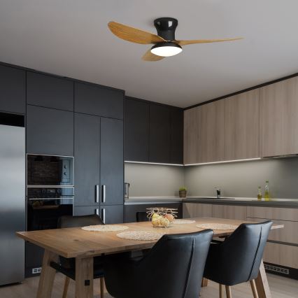 Brilagi - LED himmennettävä kattovalo LED/30W/230V 3000-6500K musta/ruskea + kauko-ohjaus