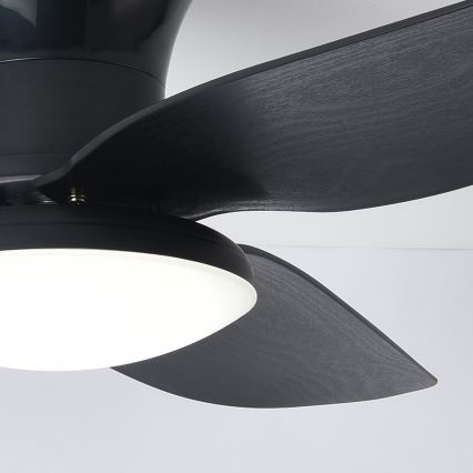 Brilagi - LED himmennettävä kattovalo LED/30W/230V 3000-6500K musta + kauko-ohjaus