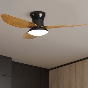 Brilagi - LED himmennettävä kattovalo LED/30W/230V 3000-6500K musta/ruskea + kauko-ohjaus