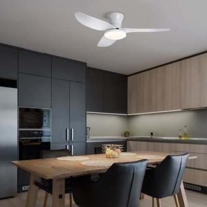 Brilagi - LED himmennettävä kattovalo LED/30W/230V 3000-6500K valkoinen + kauko-ohjaus