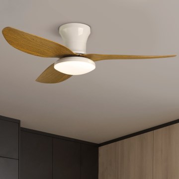 Brilagi - LED himmennettävä kattovalo LED/30W/230V 3000-6500K valkoinen/ruskea + kauko-ohjaus