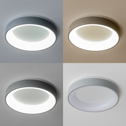 Brilagi - LED Himmennettävä kattovalo FALCON LED/40W/230V 3000-6500K harmaa + kauko-ohjain