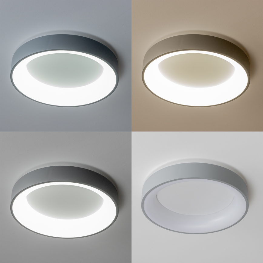 Brilagi - LED Himmennettävä kattovalo FALCON LED/40W/230V 3000-6500K harmaa + kauko-ohjain
