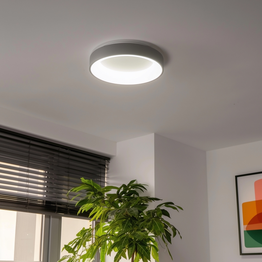 Brilagi - LED Himmennettävä kattovalo FALCON LED/40W/230V 3000-6500K harmaa + kauko-ohjain