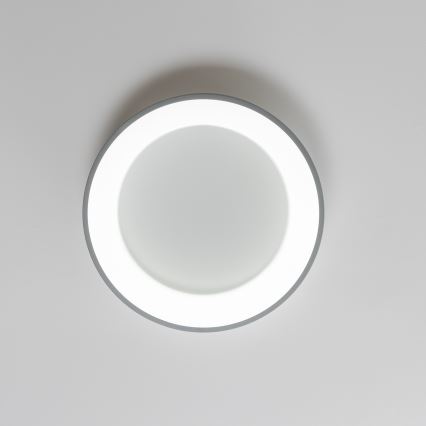 Brilagi - LED Himmennettävä kattovalo FALCON LED/40W/230V 3000-6500K harmaa + kauko-ohjain