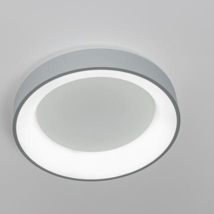 Brilagi - LED Himmennettävä kattovalo FALCON LED/40W/230V 3000-6500K harmaa + kauko-ohjain