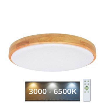 Brilagi - LED Himmennettävä kattovalo PINE LED/24W/230V 3000-6500K  + kauko-ohjain