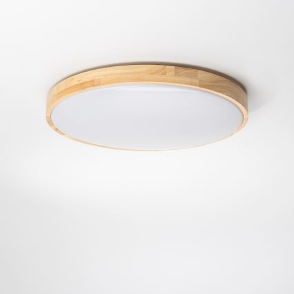 Brilagi - LED Himmennettävä kattovalo PINE LED/24W/230V 3000-6500K  + kauko-ohjain