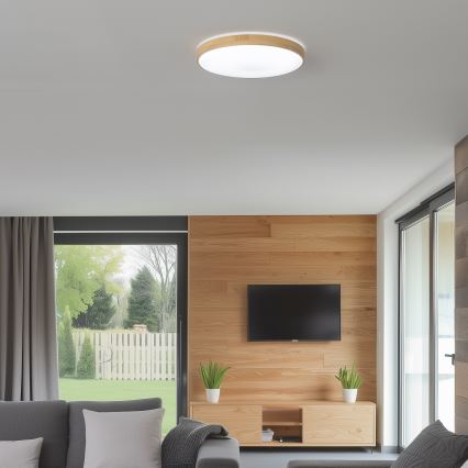 Brilagi - LED Himmennettävä kattovalo PINE LED/24W/230V 3000-6500K  + kauko-ohjain