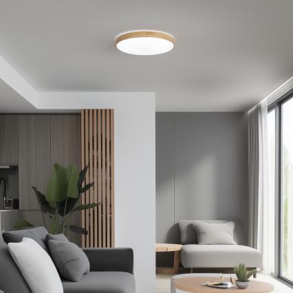 Brilagi - LED Himmennettävä kattovalo PINE LED/24W/230V 3000-6500K  + kauko-ohjain